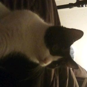 Meet your Posher, Cindy